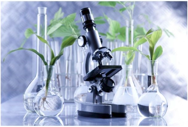 [Анна Павлычева] Гайд «Общий анализ крови_ расшифр_0.png